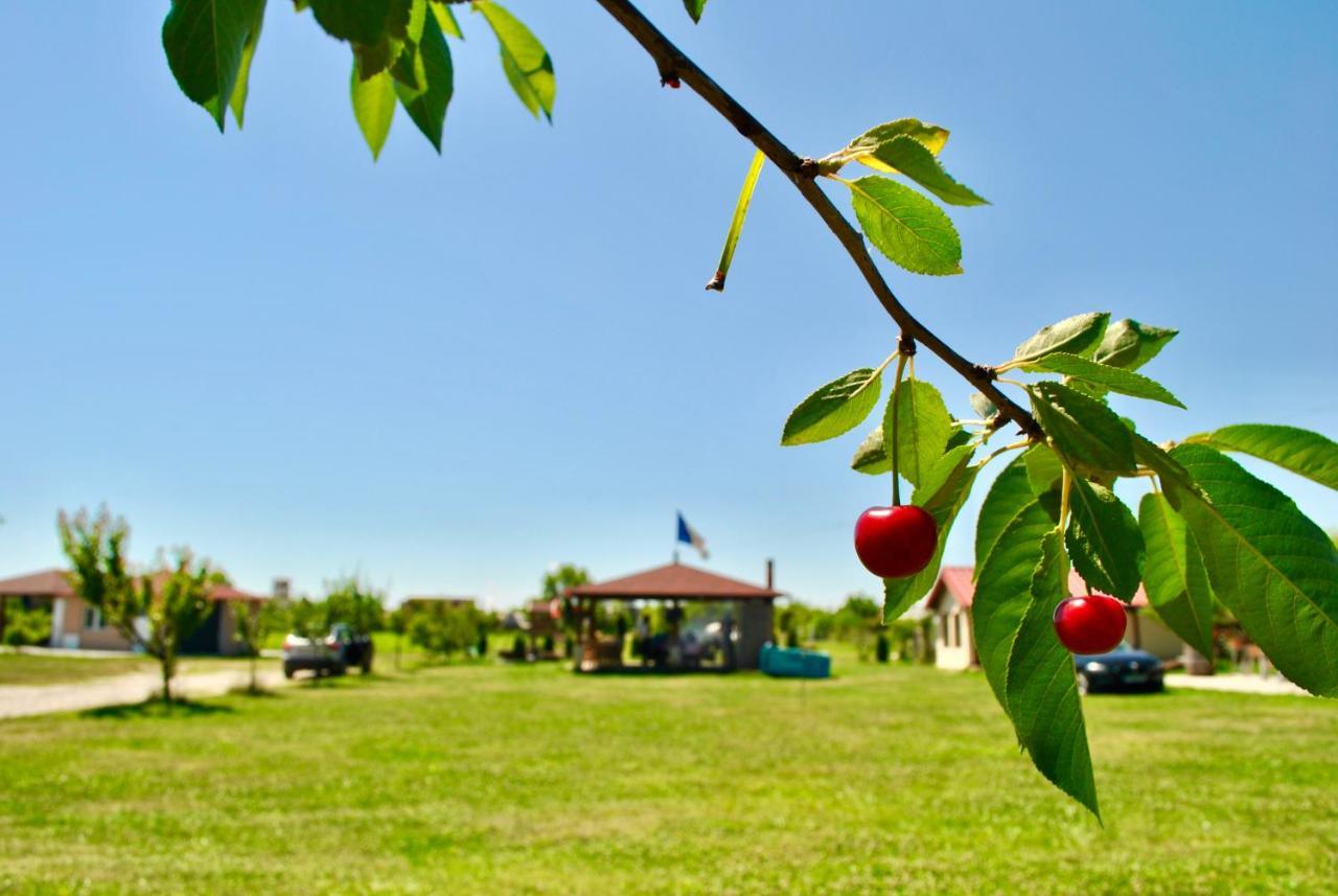 Отель Camping La Foisor Турда Экстерьер фото