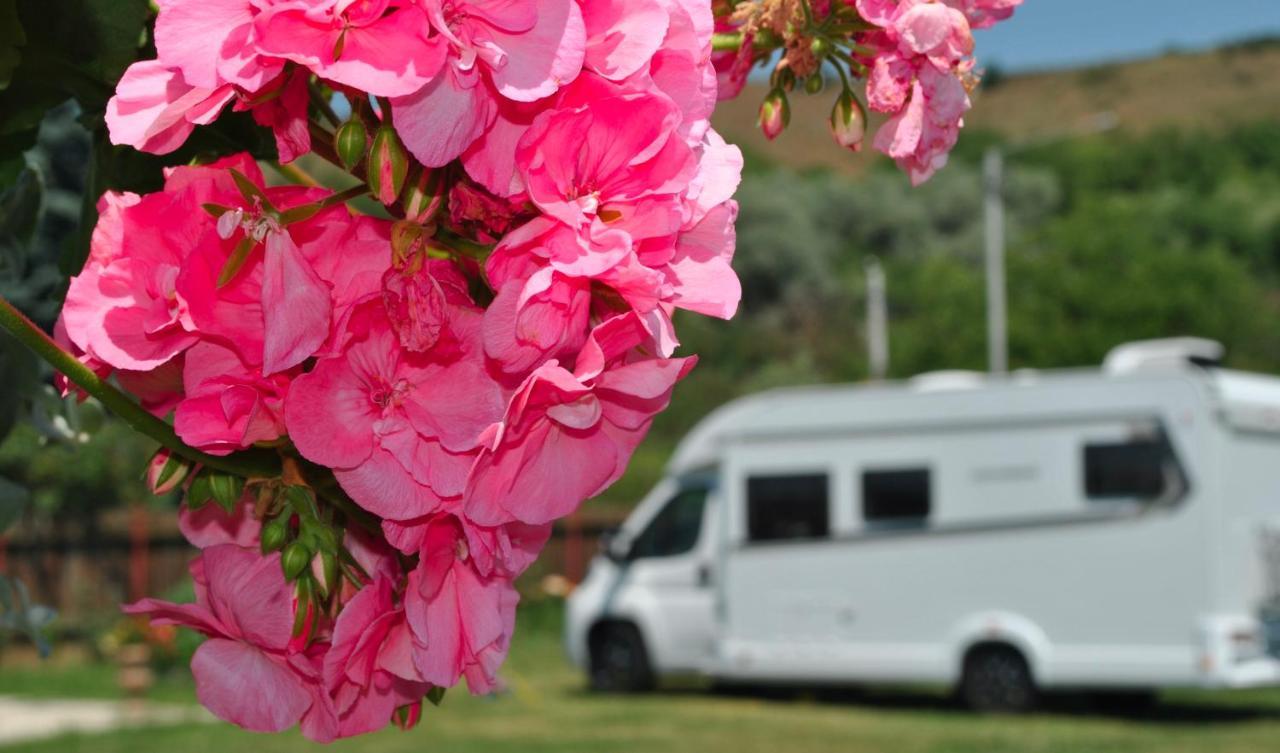 Camping La Foisor Турда Экстерьер фото